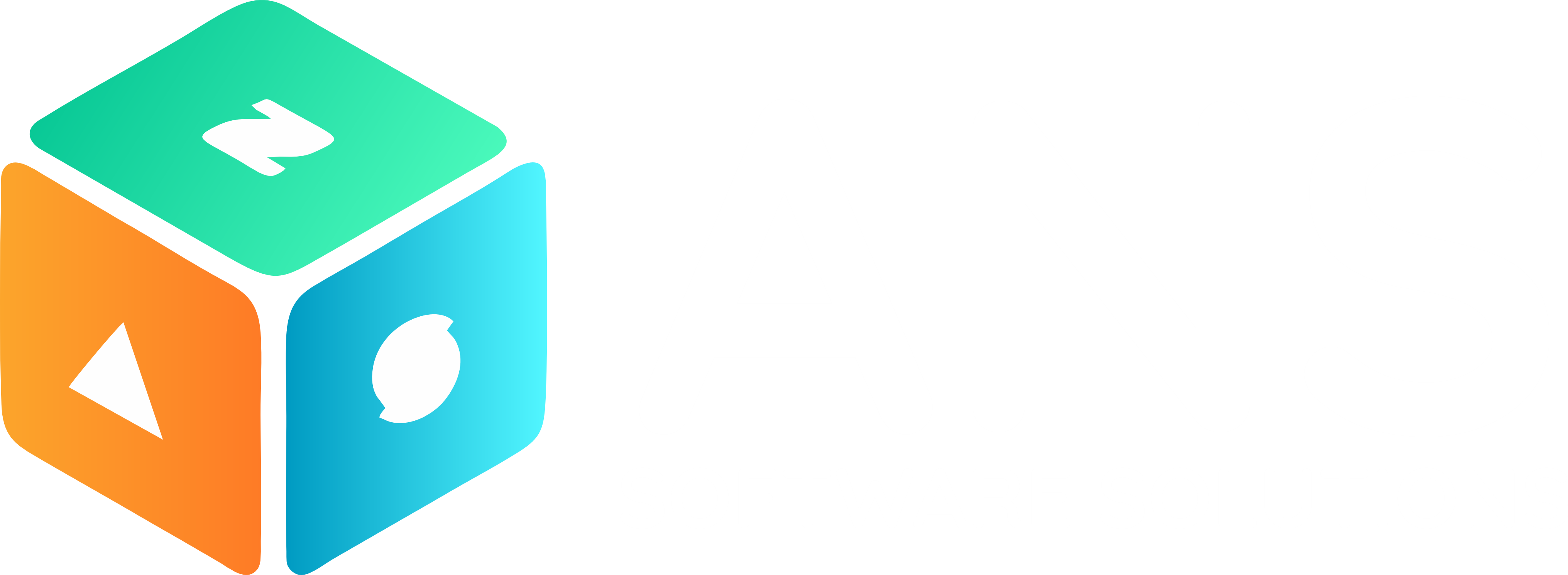 ANS Software Solutions